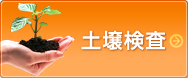 土壌検査